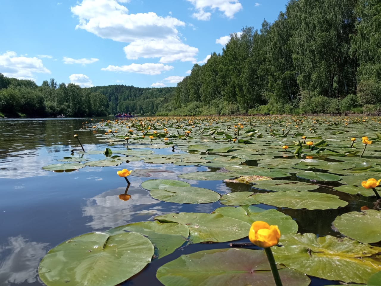 Сплавы по другим рекам